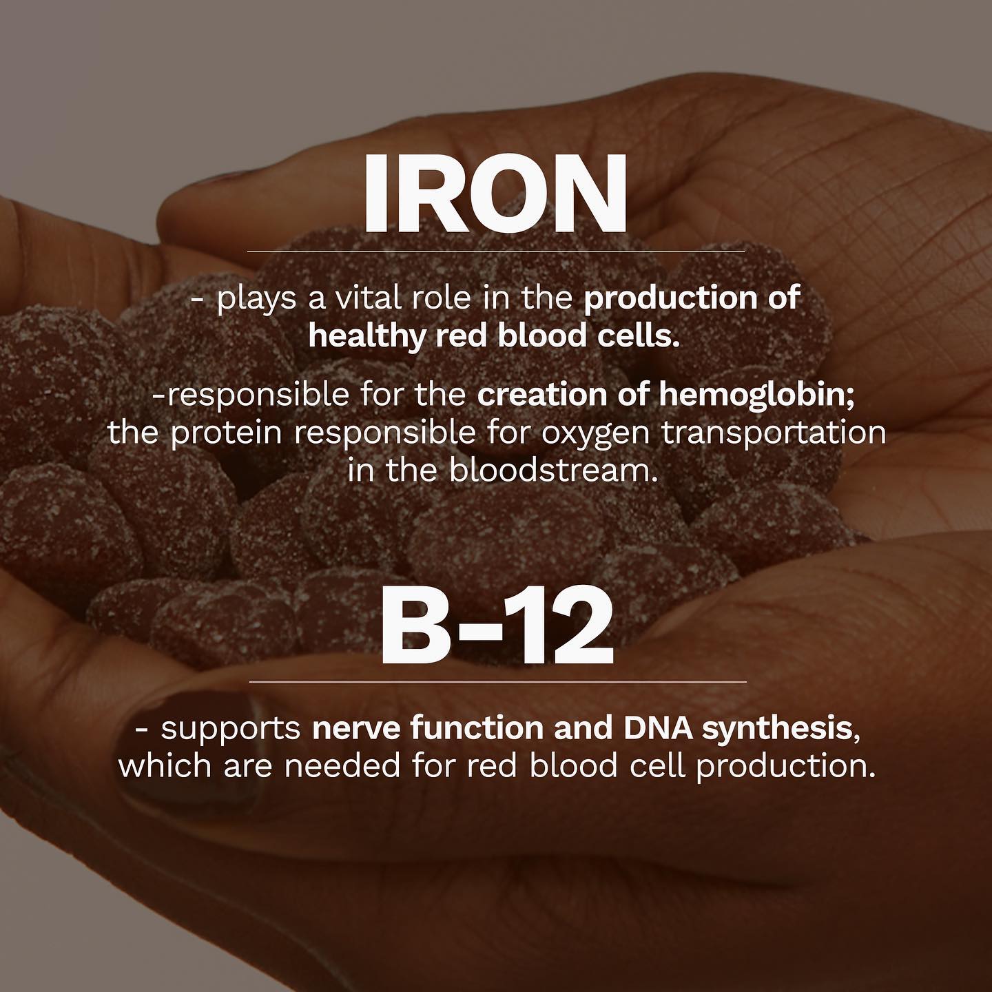 Energy Bundle - PRIME DAY Discount